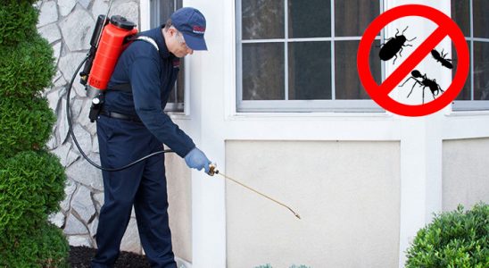 Sultanhisar Gümüşkurt İlaçlama böcek ilaçlama ve haşere kontrolü — ilaclama-tr.com